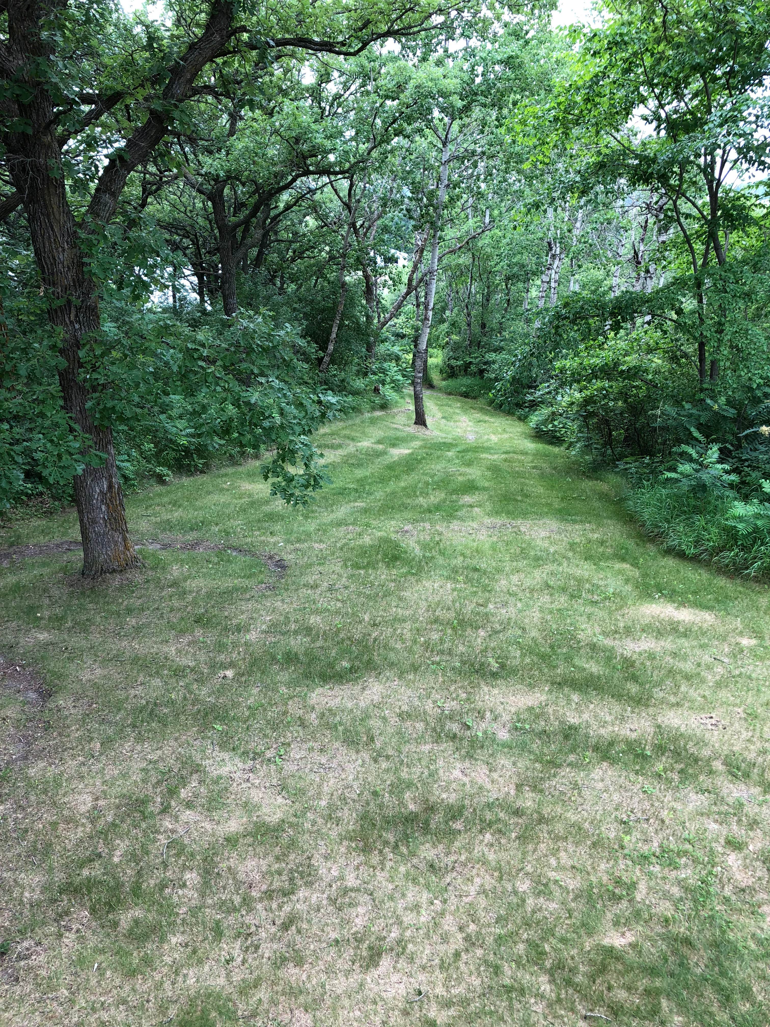 Camper-submitted photo at Relaxation Station near Evansville, MN