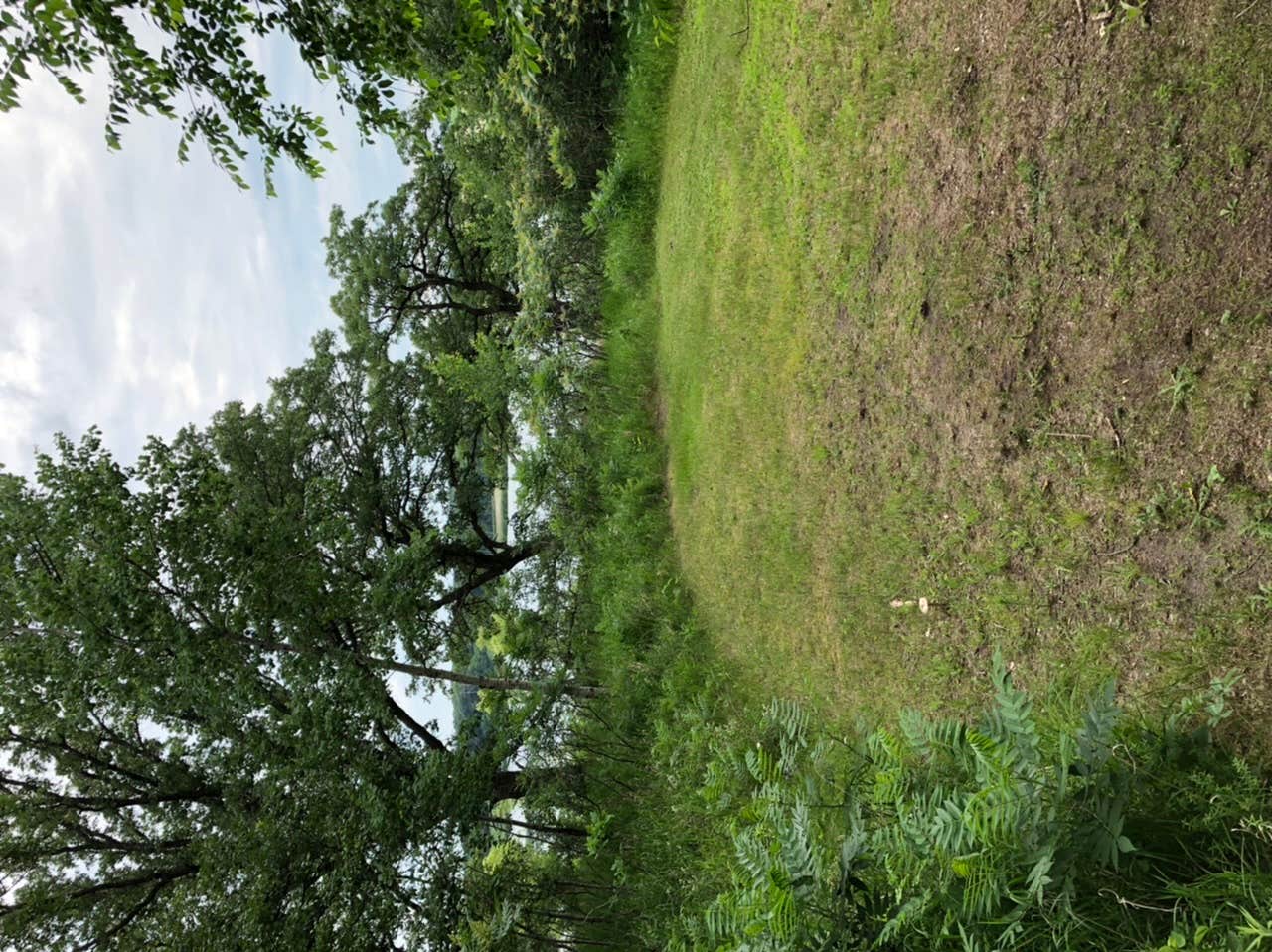 Camping near Northern Lights Resort: Relaxation Station, Fergus Falls, Minnesota