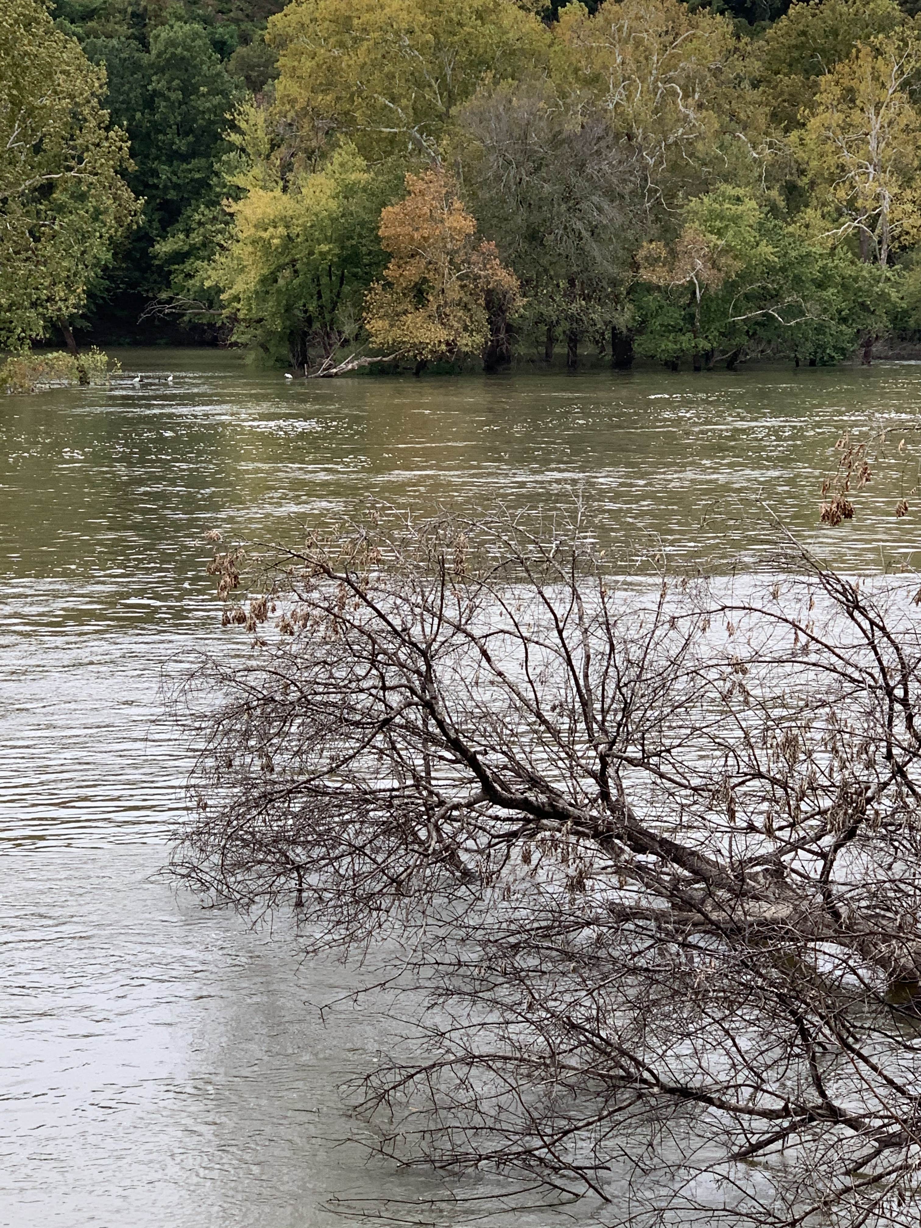 Camper-submitted photo at Cherokee Area — Grand Lake State Park near Disney, OK