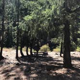 Review photo of Willows Campground by Ashley B., October 30, 2020