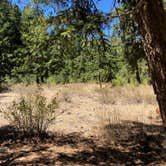 Review photo of Willows Campground by Ashley B., October 30, 2020