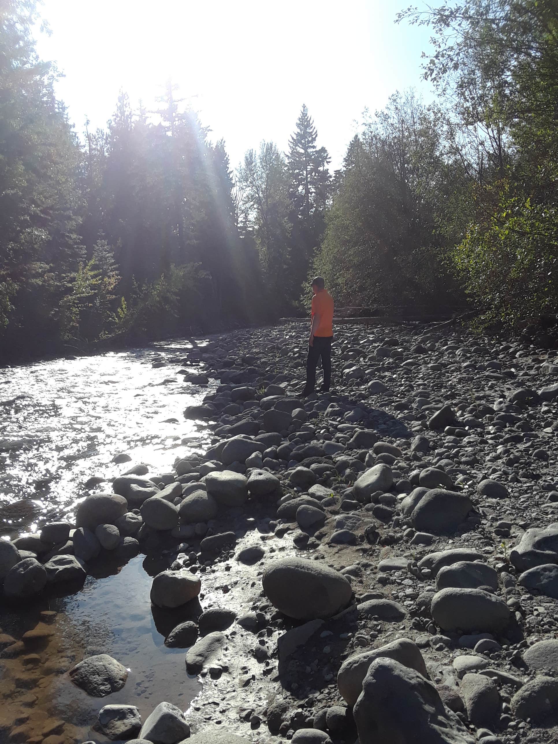 Camper submitted image from Mount Hood National Forest Tollgate Campground - 3