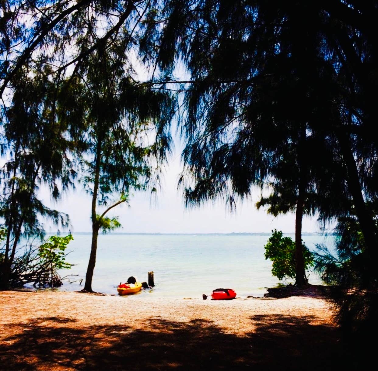 Escape To Paradise: Florida’s Long Point Park, A Hidden Gem