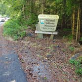 Review photo of Cougar RV Park and Campground by Noelle , October 30, 2020