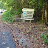 Review photo of Cougar RV Park and Campground by Noelle , October 30, 2020