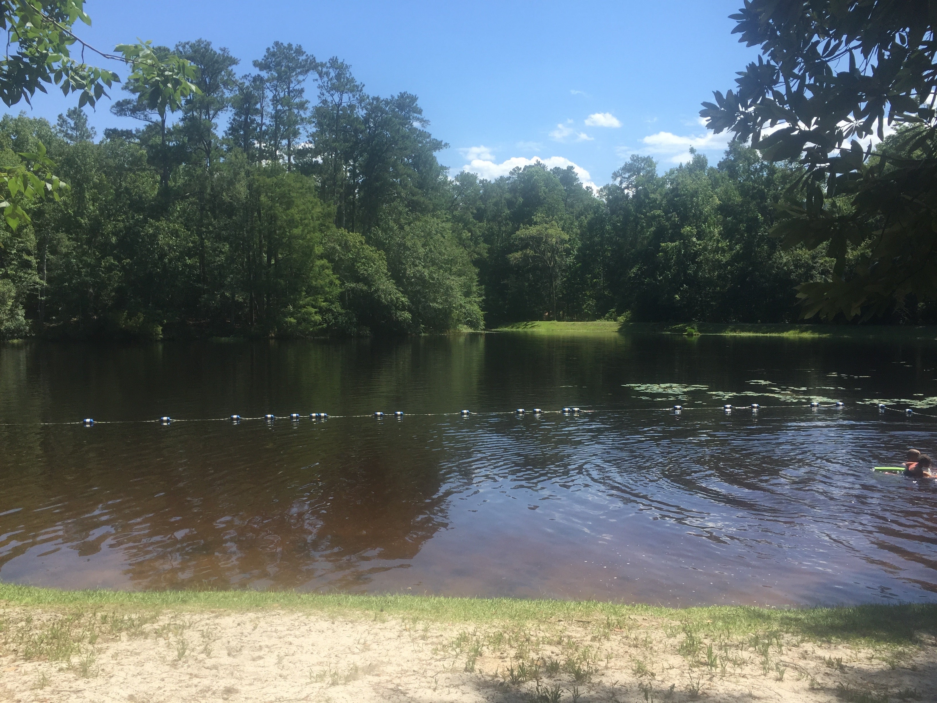 Camper submitted image from Poinsett State Park Campground - 2