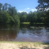 Review photo of Poinsett State Park by Matt G., July 9, 2016