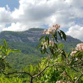 Review photo of Oconee State Park Campground by Theresa B., October 30, 2020