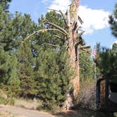 Review photo of McCall RV Resort - Northfolk Lodge by Ed E., May 22, 2018