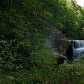 Review photo of Oconee State Park Campground by Theresa B., October 30, 2020