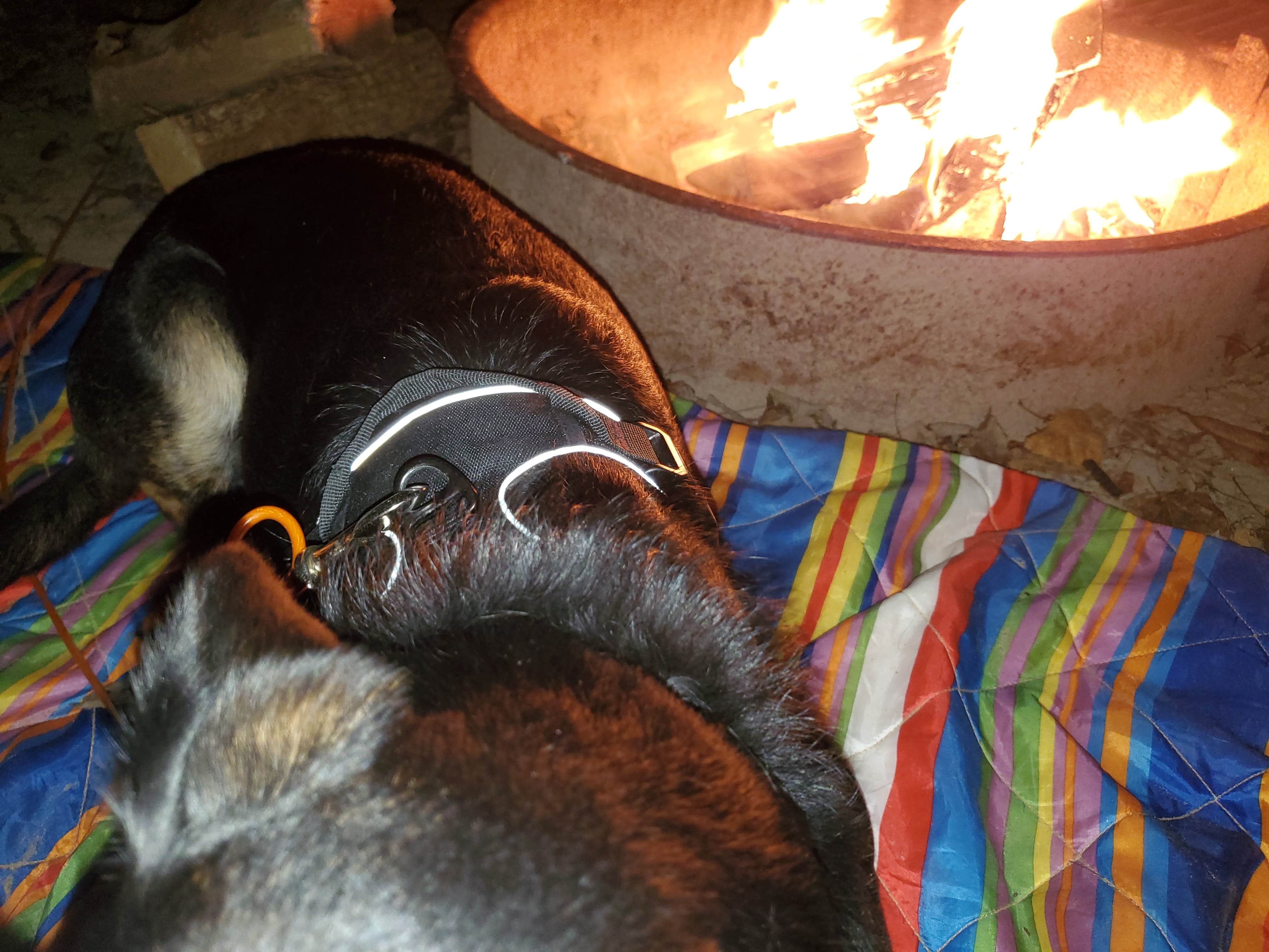 Camper-submitted photo at Miami Whitewater Forest Campground near West Fork of Mill Creek Lake