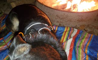 Scott H.'s photo of camping with pets at Miami Whitewater Forest Campground near Addyston, OH