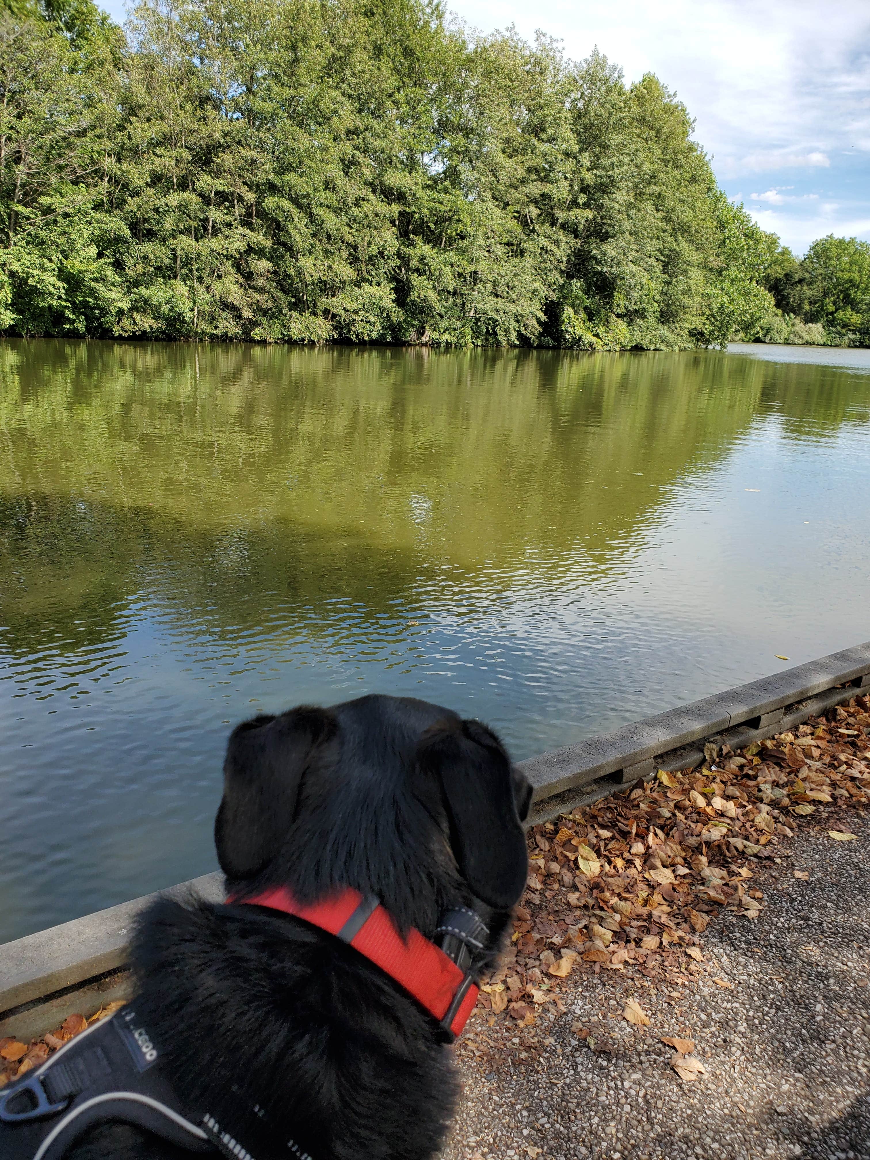 Camper-submitted photo at Miami Whitewater Forest Campground near West Fork of Mill Creek Lake