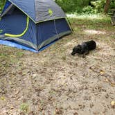 Review photo of Miami Whitewater Forest Campground by Scott H., October 30, 2020