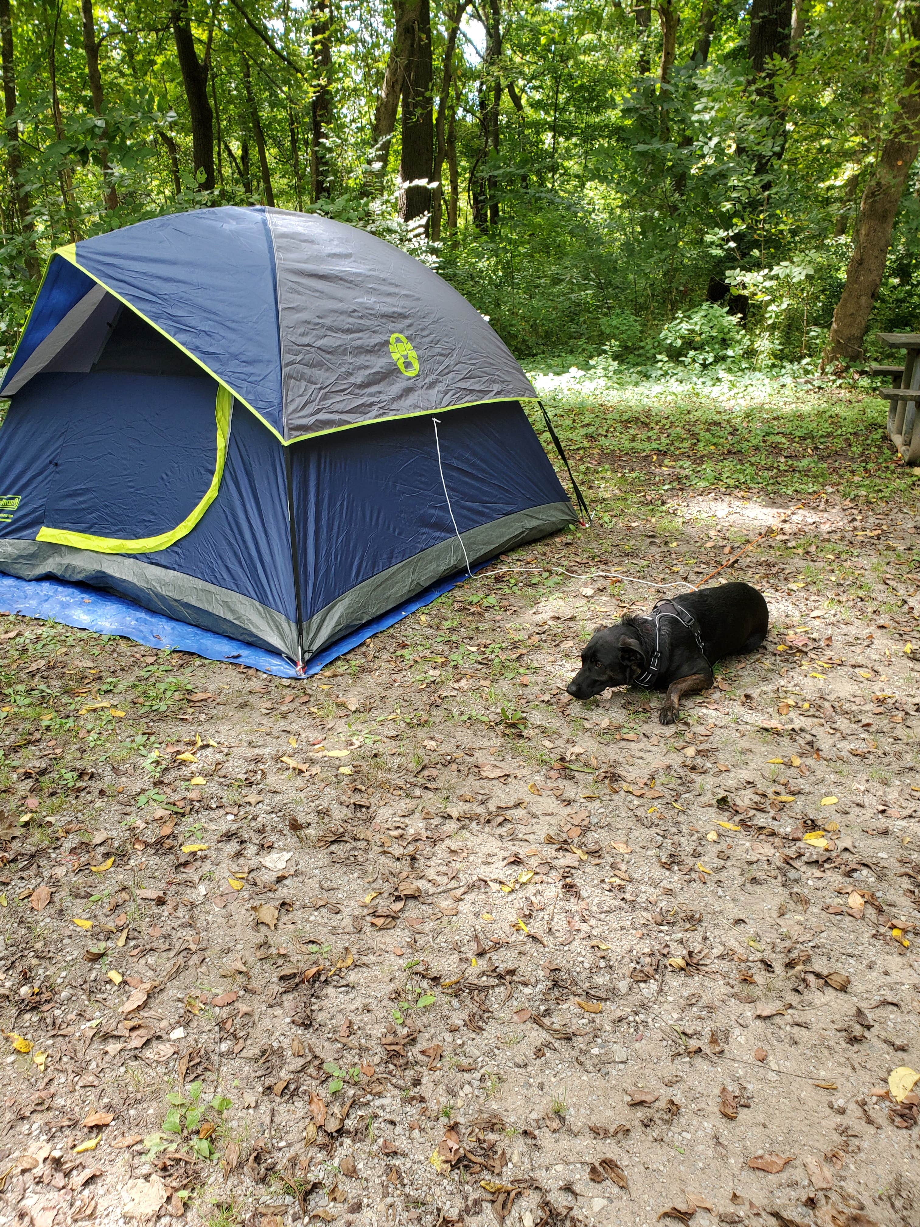 Camper submitted image from Miami Whitewater Forest Campground - 3