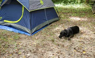 Scott H.'s photo at Miami Whitewater Forest Campground near Oxford, OH
