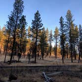 Review photo of Wolf Creek Industrial Campground by Ashley B., October 30, 2020