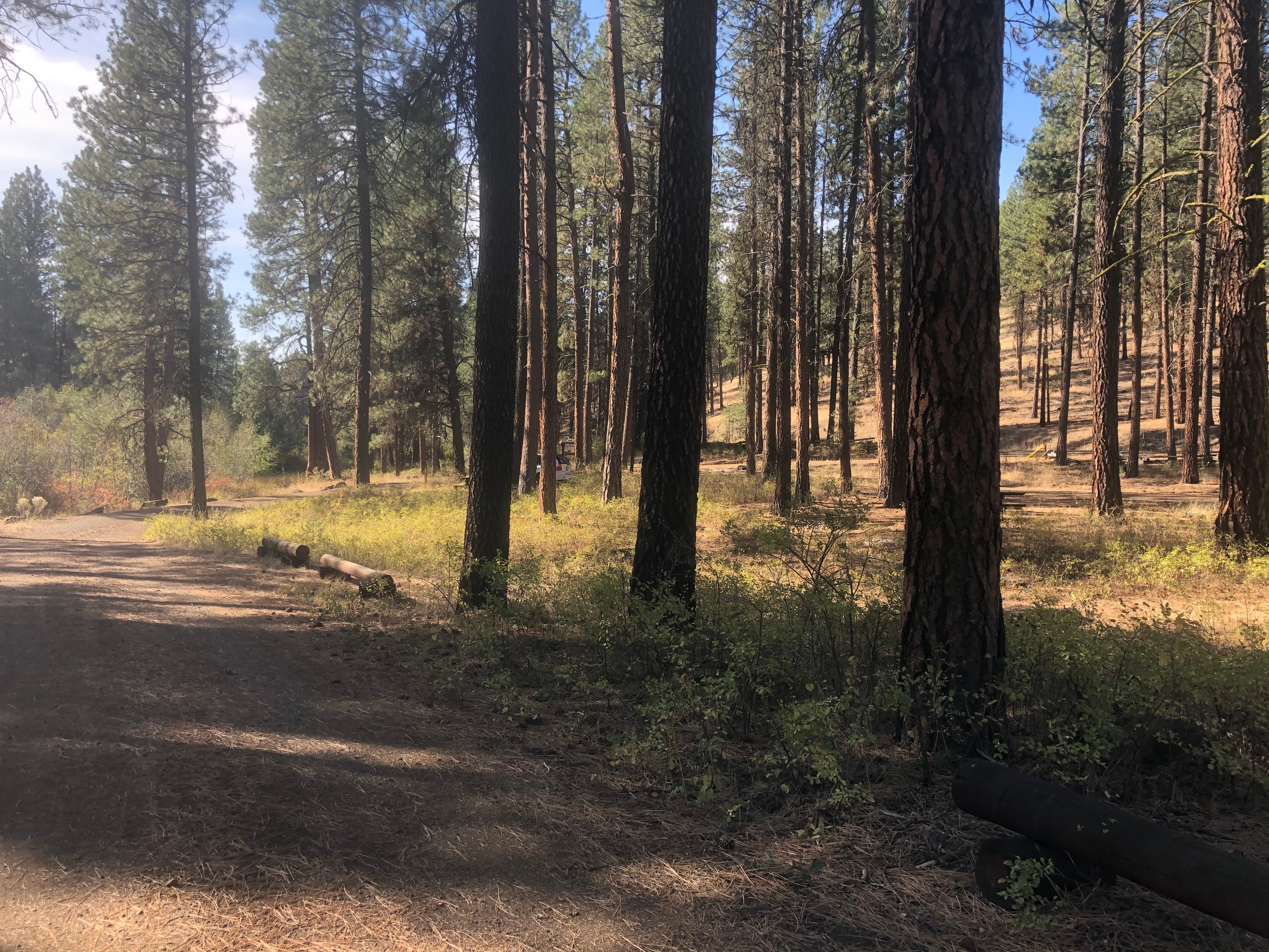 Camper submitted image from Wolf Creek Industrial Campground - 3