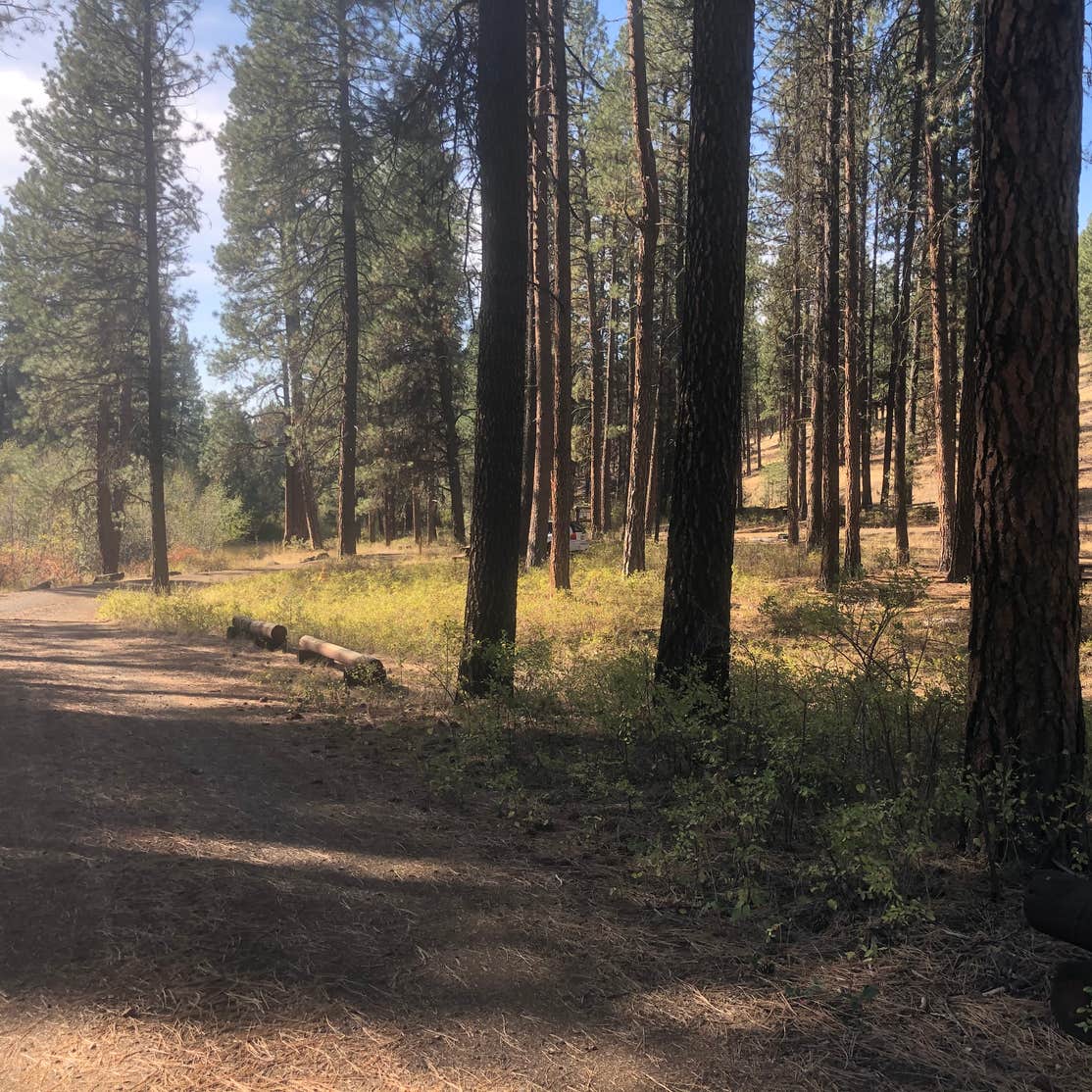 Wolf Creek Industrial Campground Camping The Dyrt