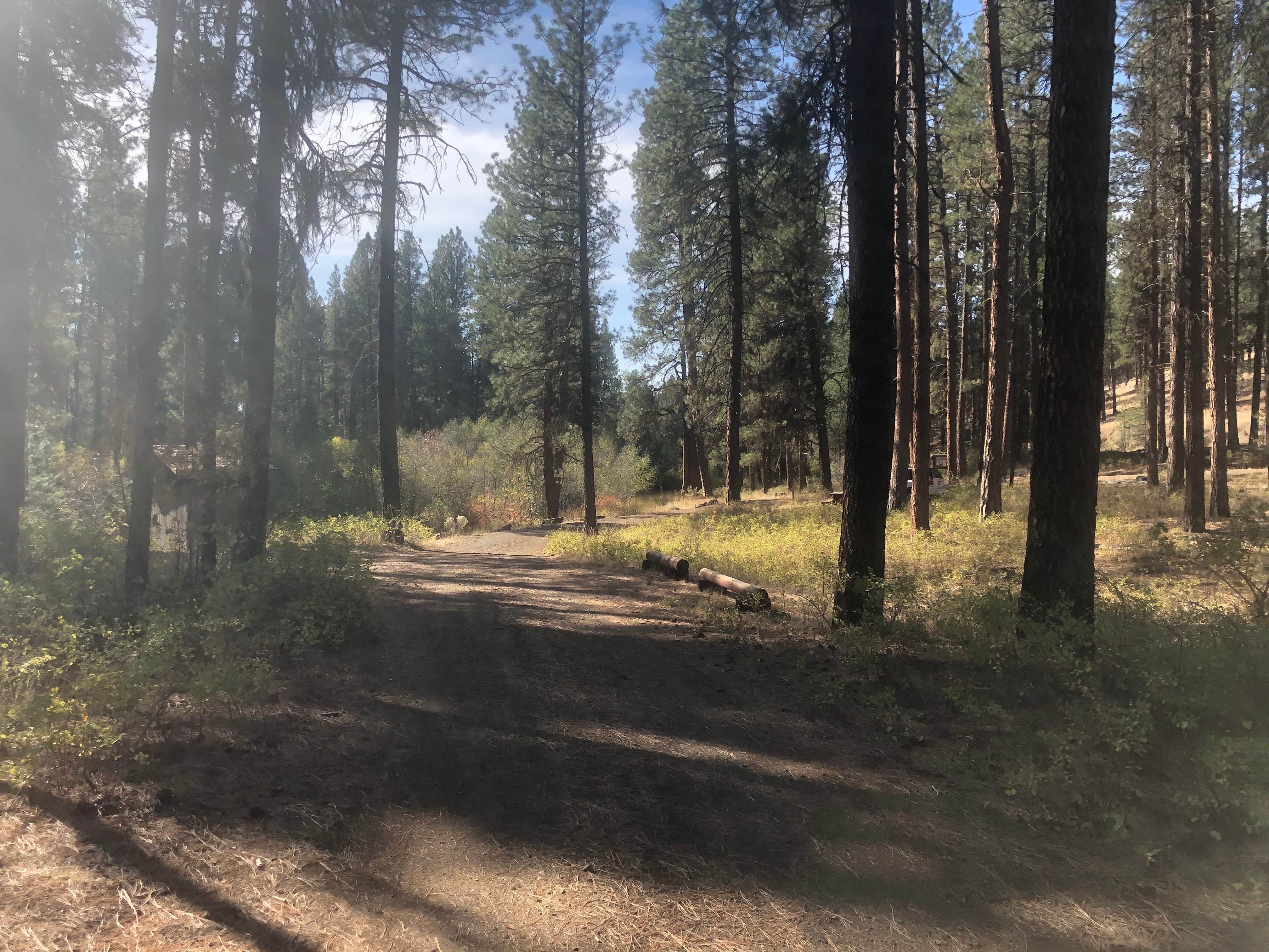 Camper-submitted photo at Wolf Creek Industrial Campground near Central Oregon