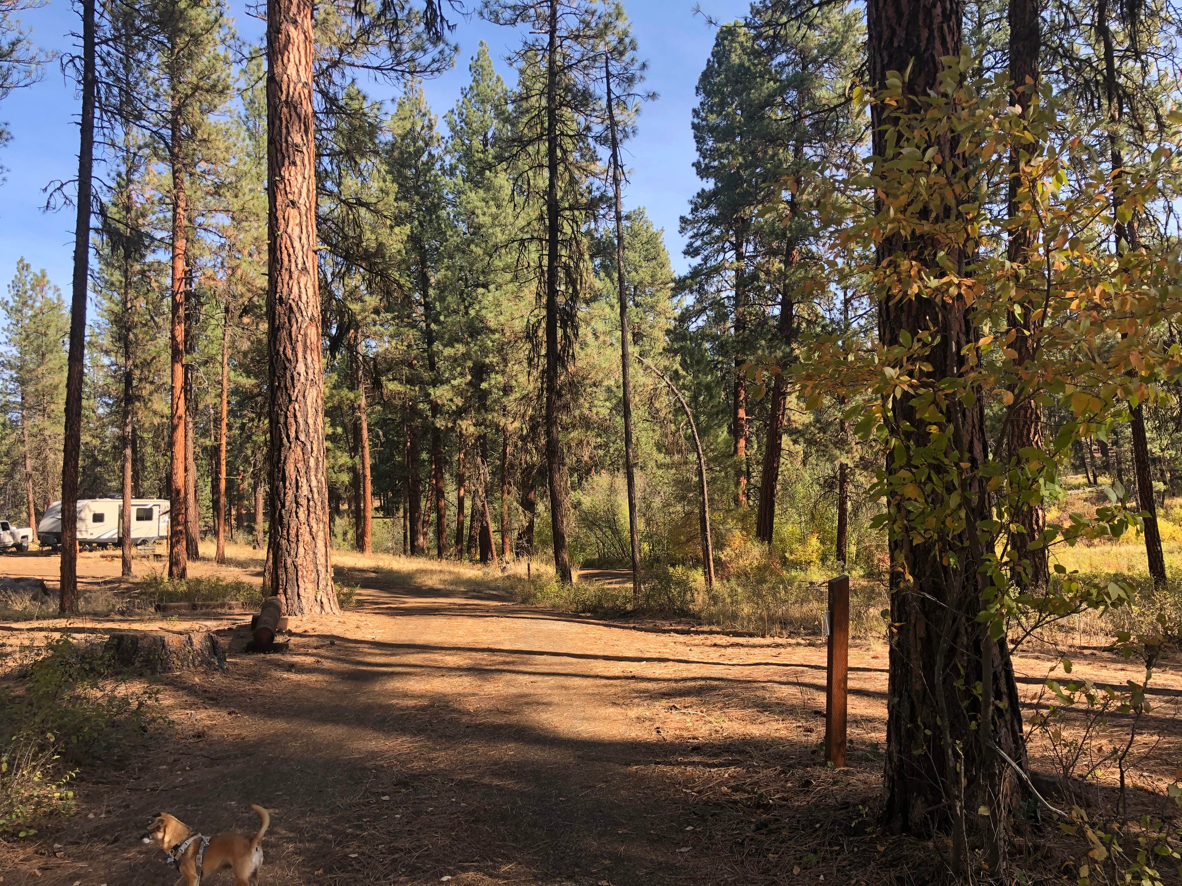 Camper-submitted photo at Wolf Creek Industrial Campground near Central Oregon