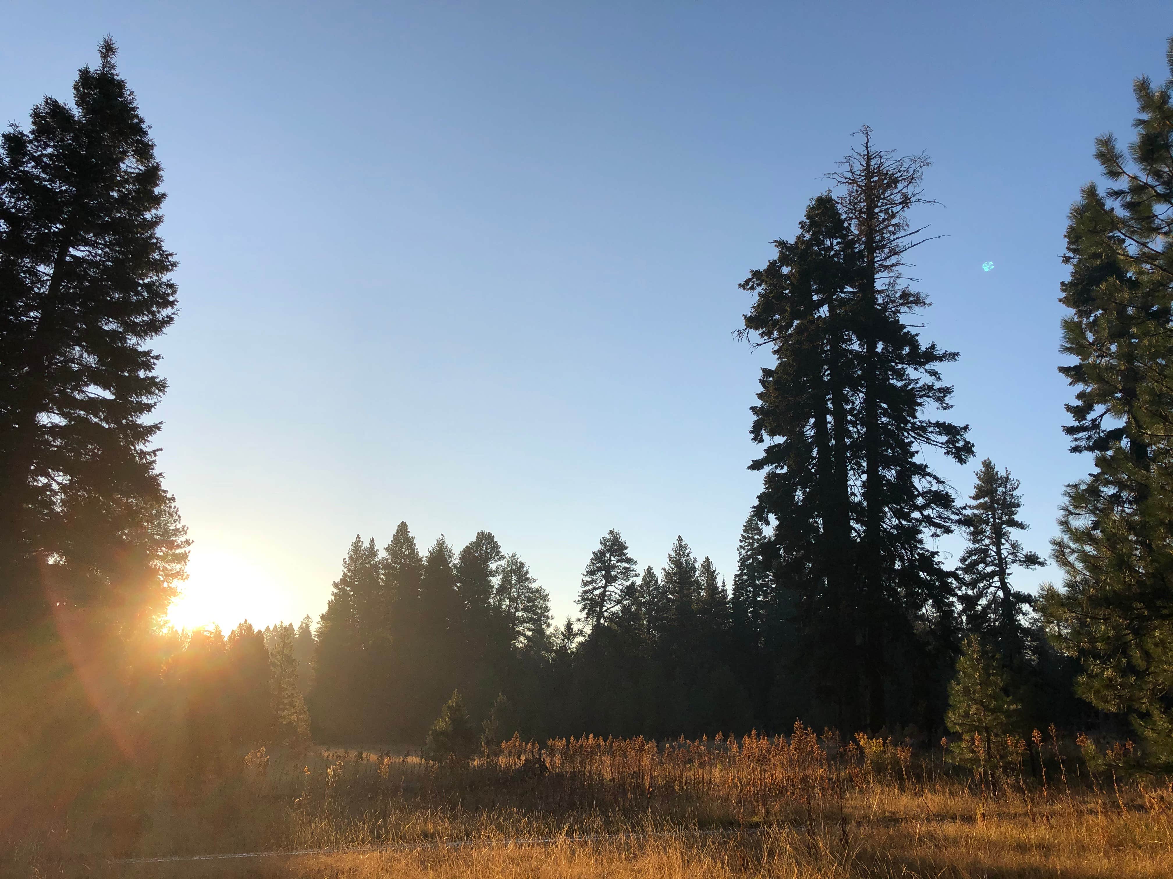 Camper-submitted photo at Cottonwood Campground near Kimberly, OR