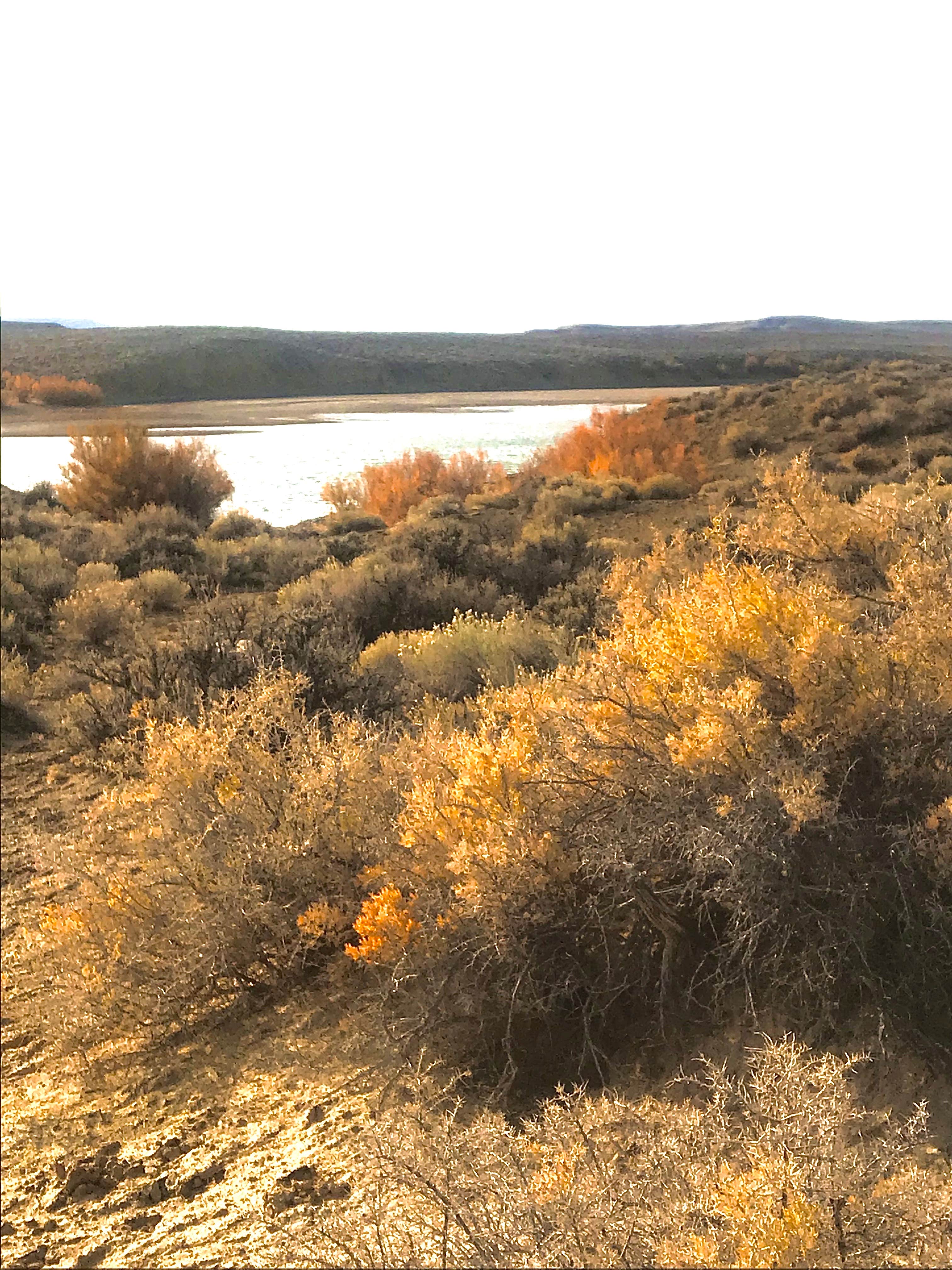Camper-submitted photo at Buckboard Marina RV near Flaming Gorge, UT