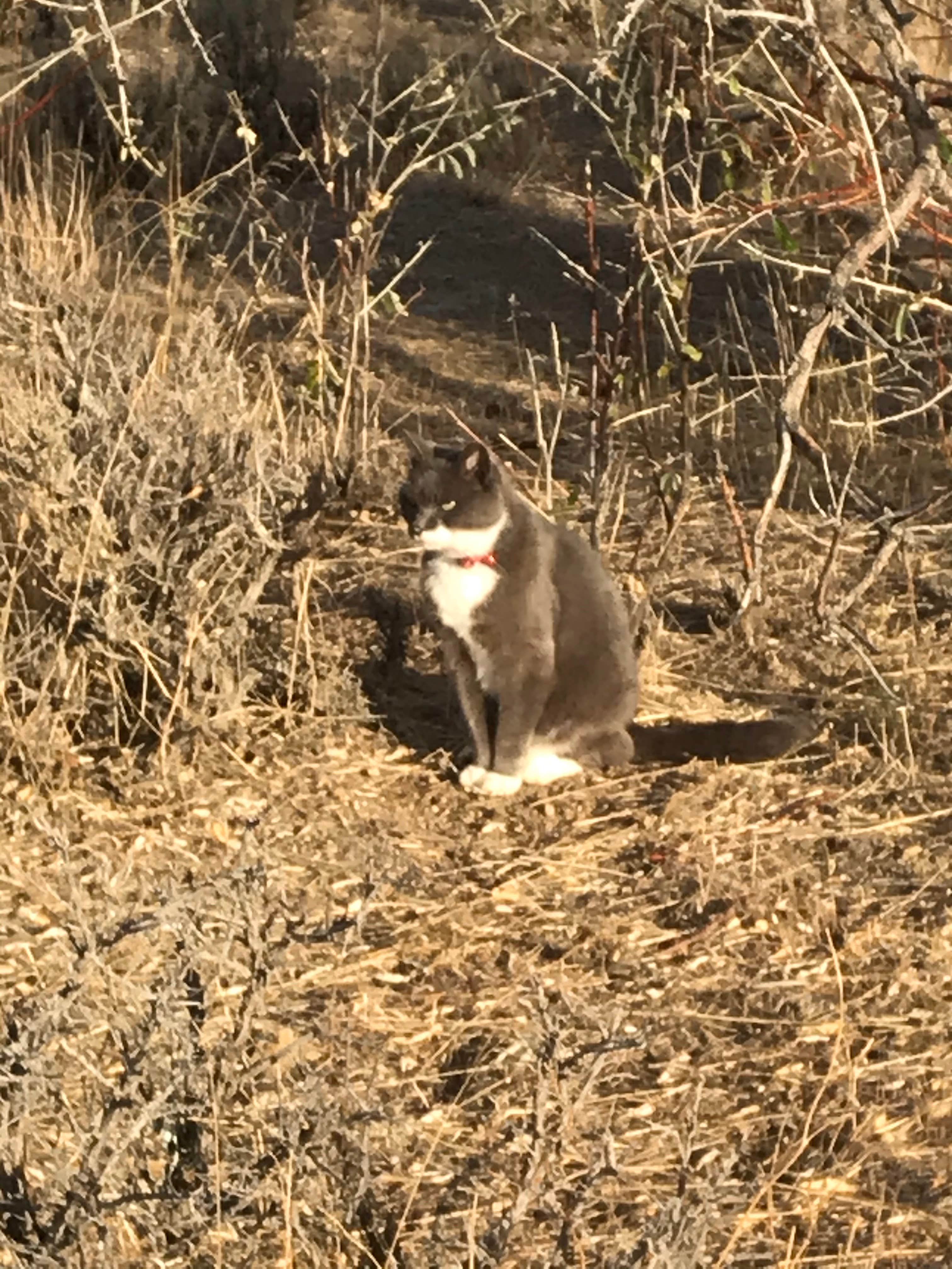 Camper-submitted photo at Buckboard Marina RV near Flaming Gorge, UT