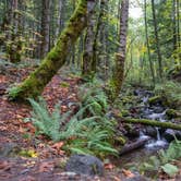 Review photo of Viento State Park Campground by Jill T., October 31, 2020