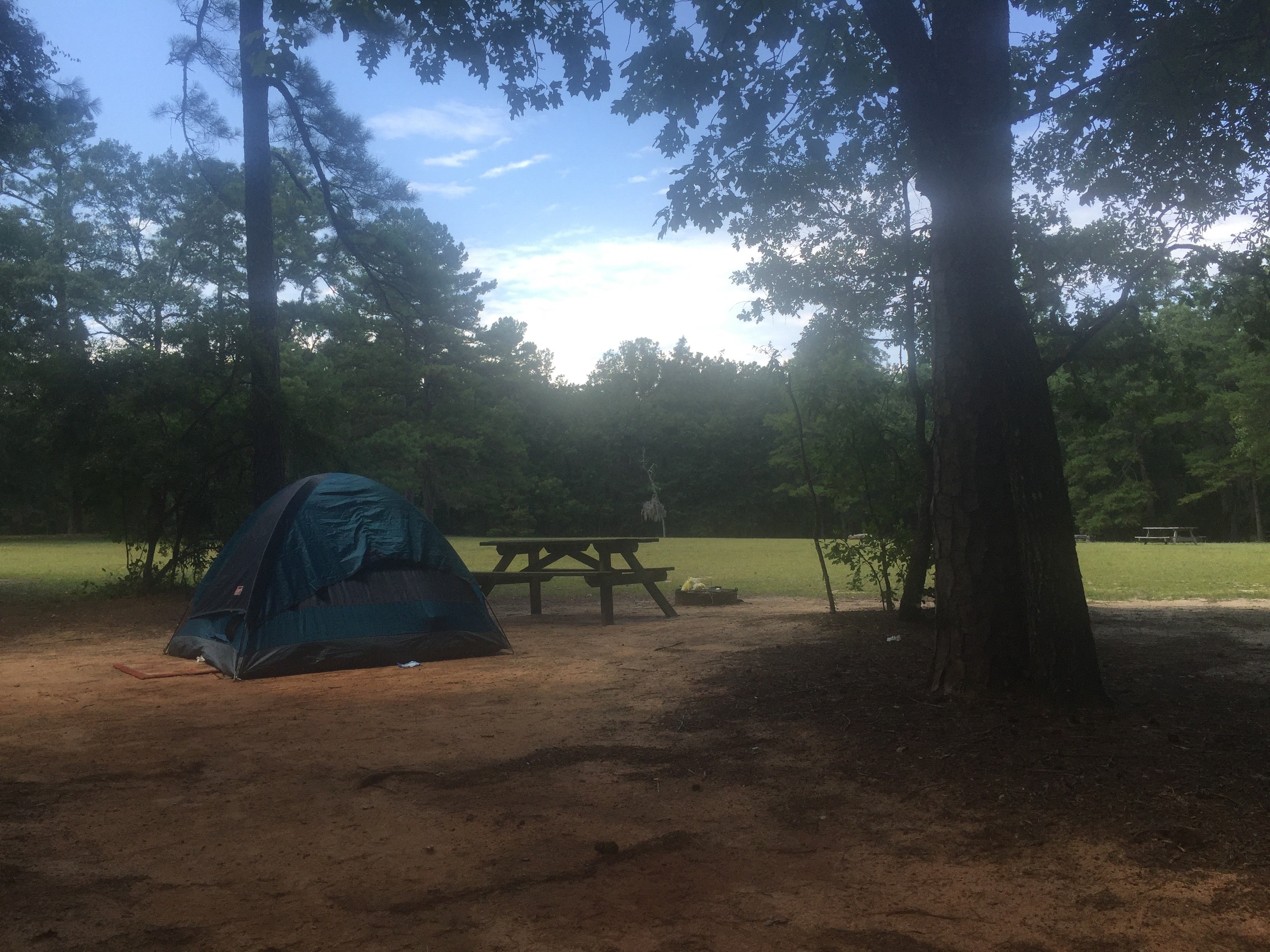 Camper submitted image from Poinsett State Park Campground - 5