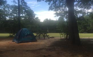 Matt G.'s photo at Poinsett State Park Campground near Summerton, SC
