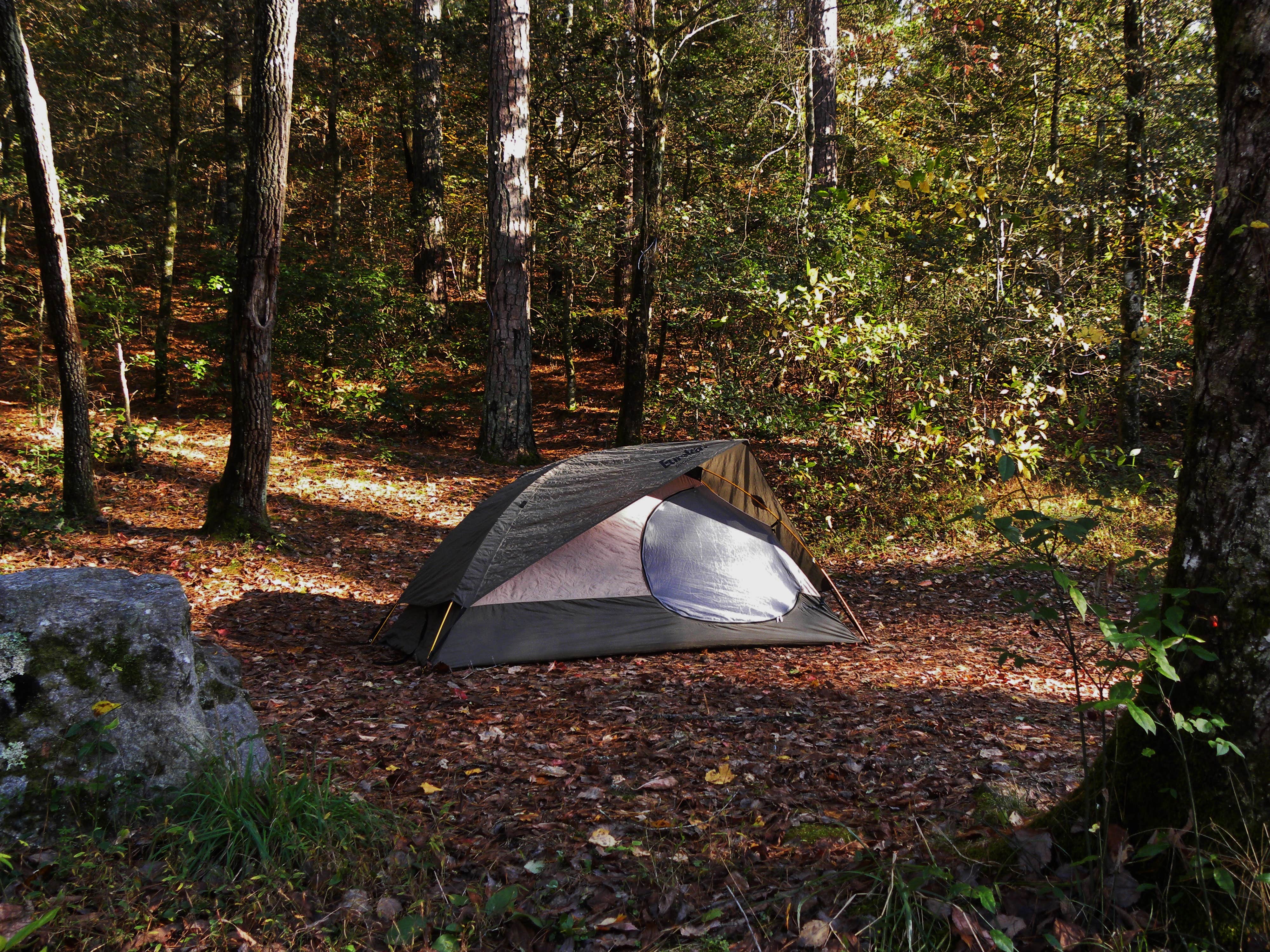Myron C.'s photo of tent camping at Long Bottom Ford near Long Creek, SC