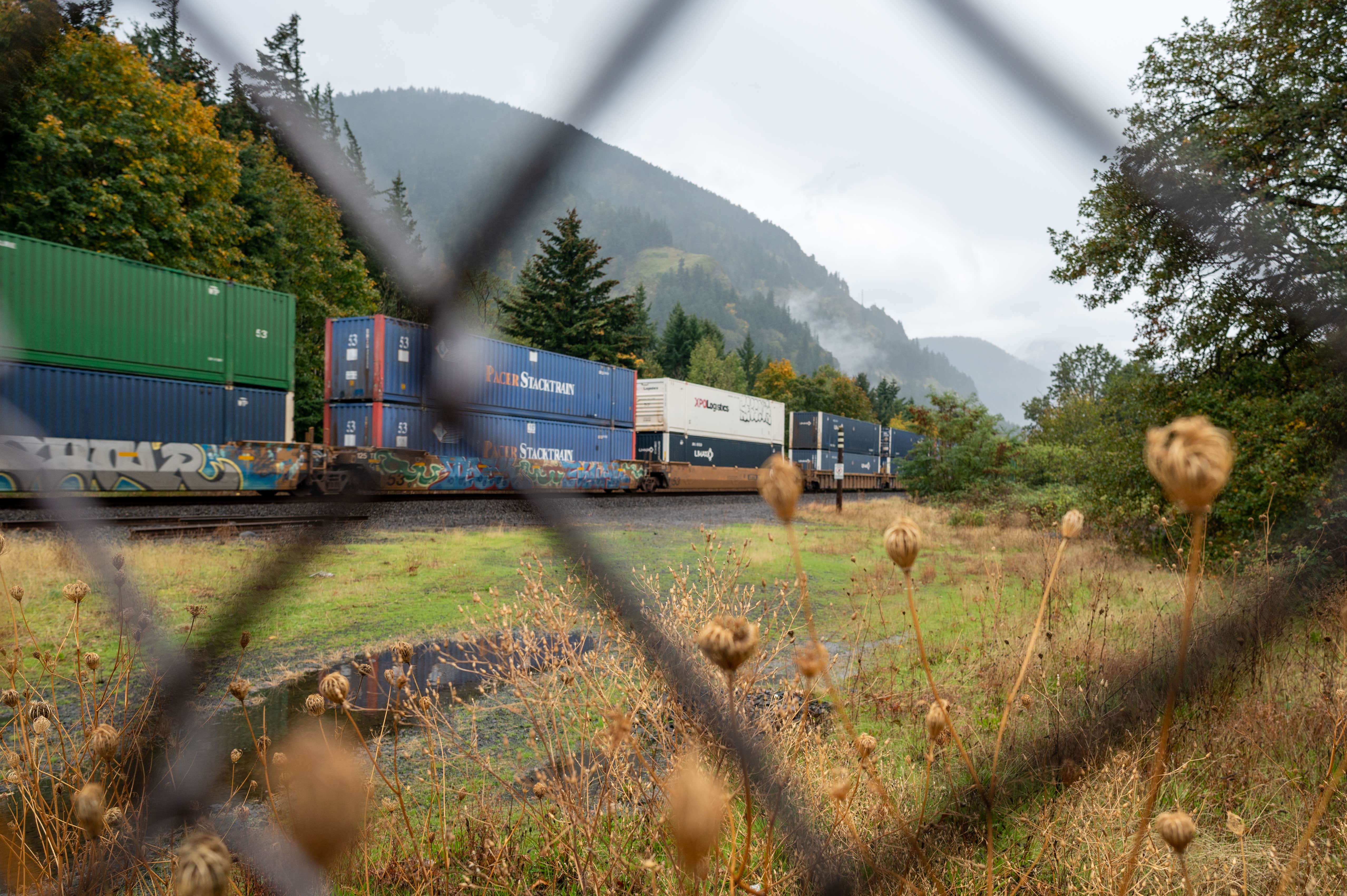 Jill T.'s photo of rv camping at Viento State Park Campground near Trout Lake, WA
