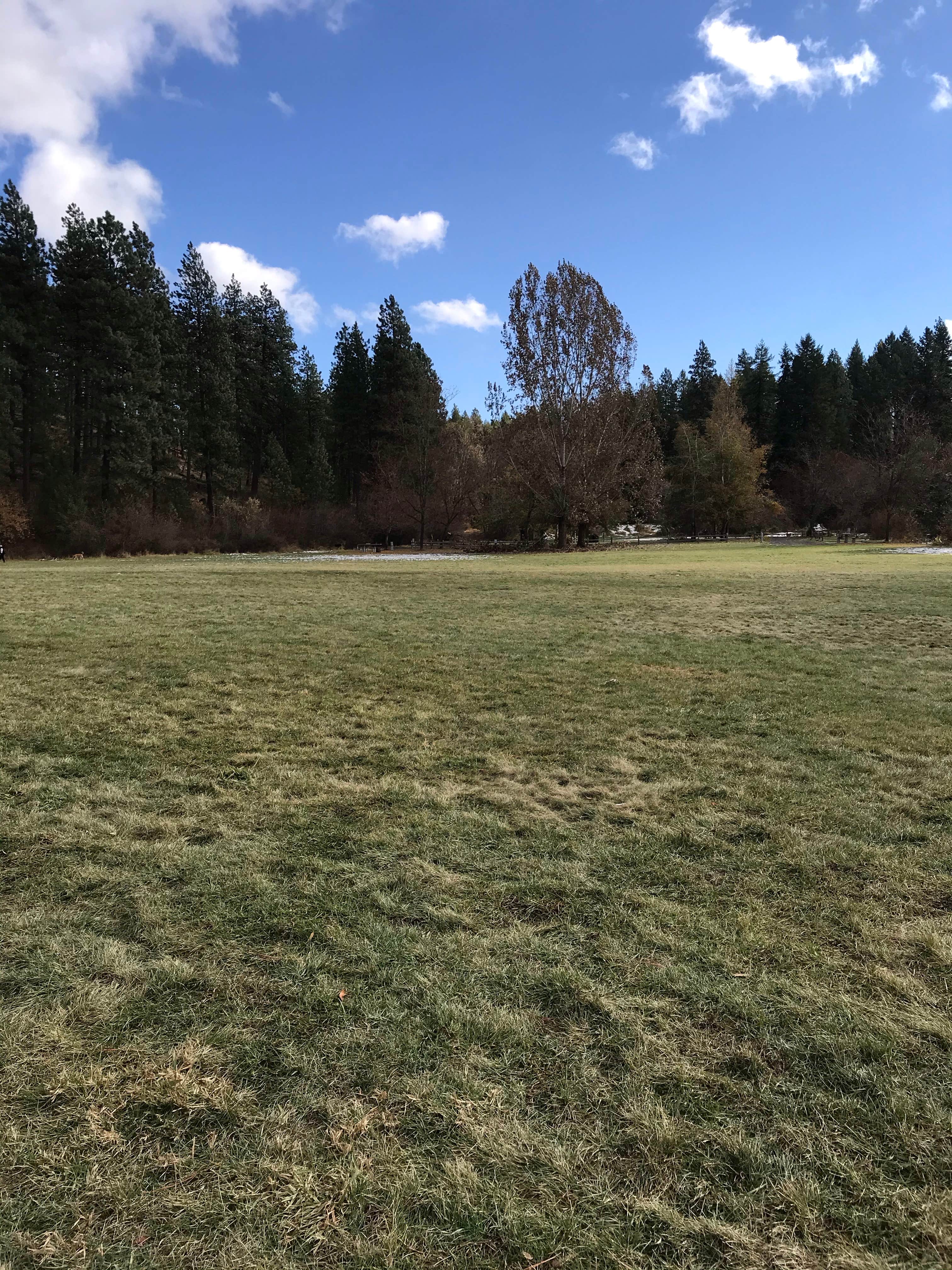 Camper-submitted photo at Robinson County Park near Moscow, ID