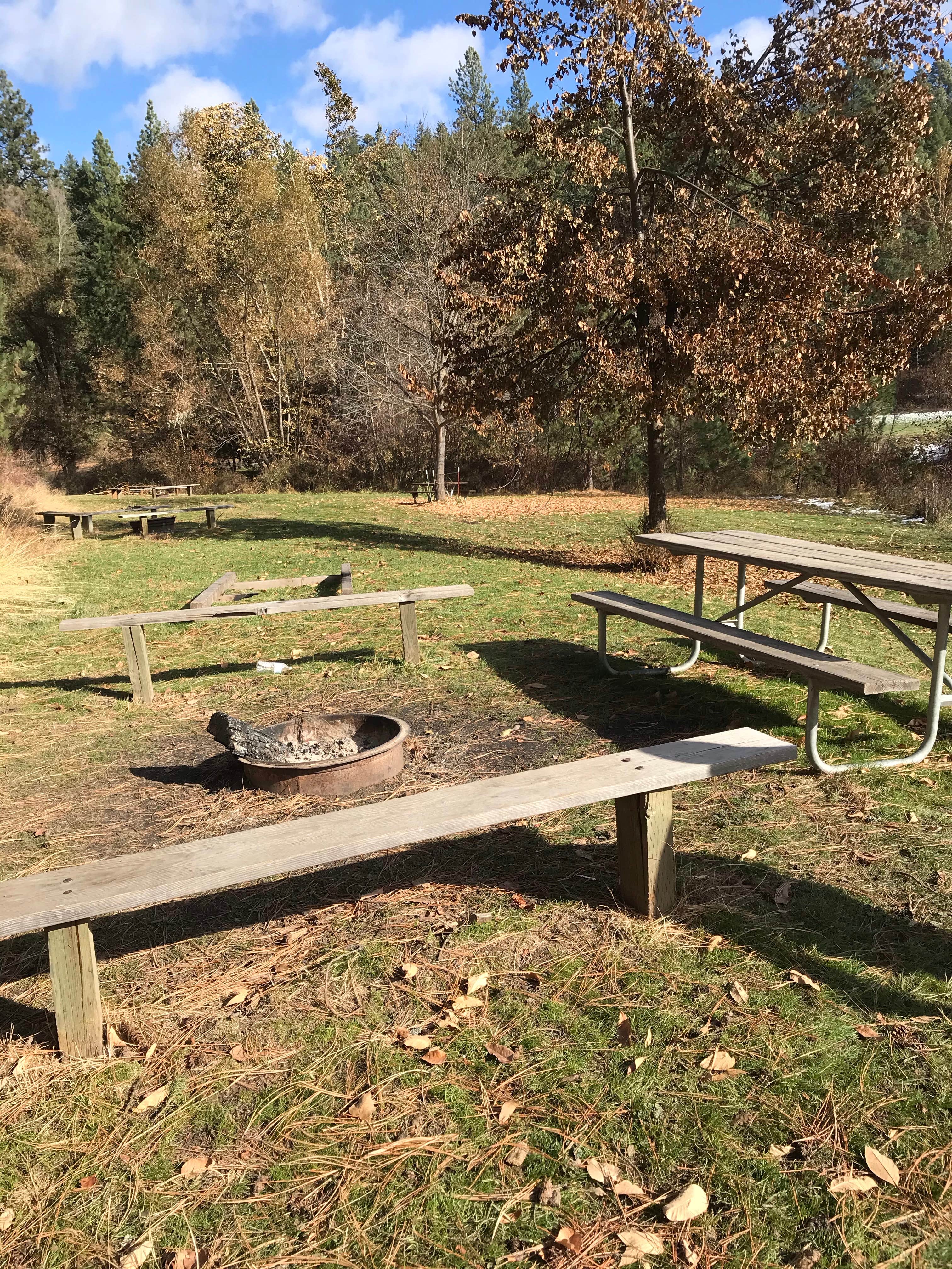 Camper-submitted photo at Robinson County Park near Moscow, ID