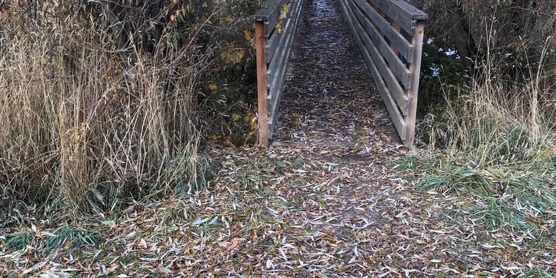 Camper submitted image from Robinson County Park