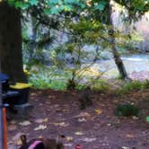 Review photo of Toketee Lake Campground — Umpqua National Forest by Jim M., October 31, 2020