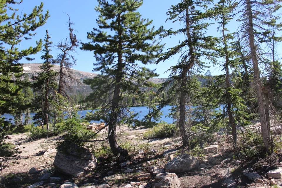 Camper-submitted photo at Pyramid Lake Dispersed Camping near Coalville, UT