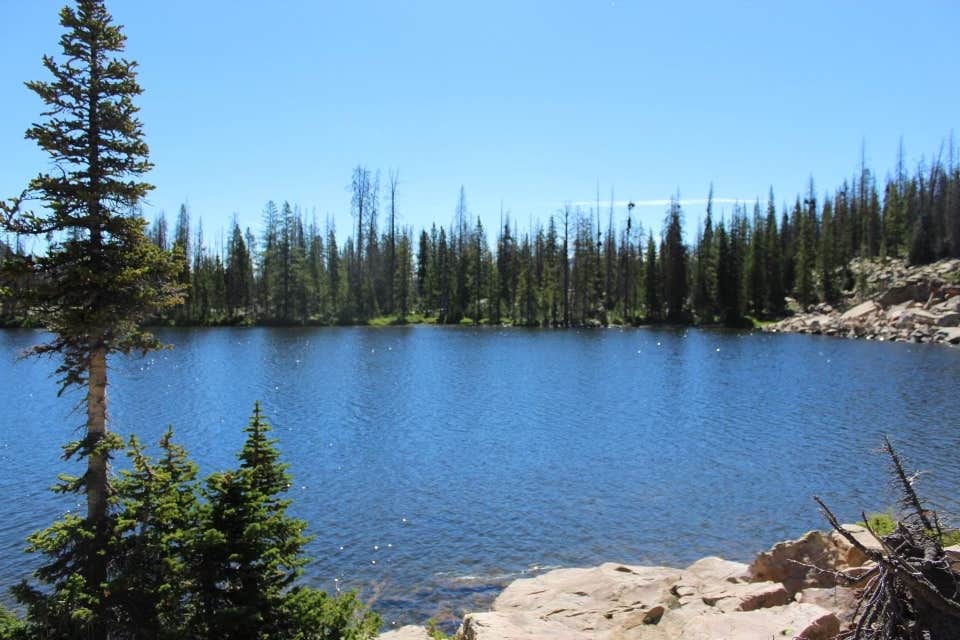 Pyramid Lake Dispersed Camping The Dyrt