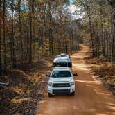 Review photo of Piney River Resort by American Streamer’ S., August 22, 2020