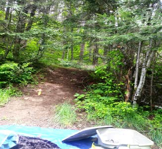 Camper-submitted photo from Trapper Creek Campground