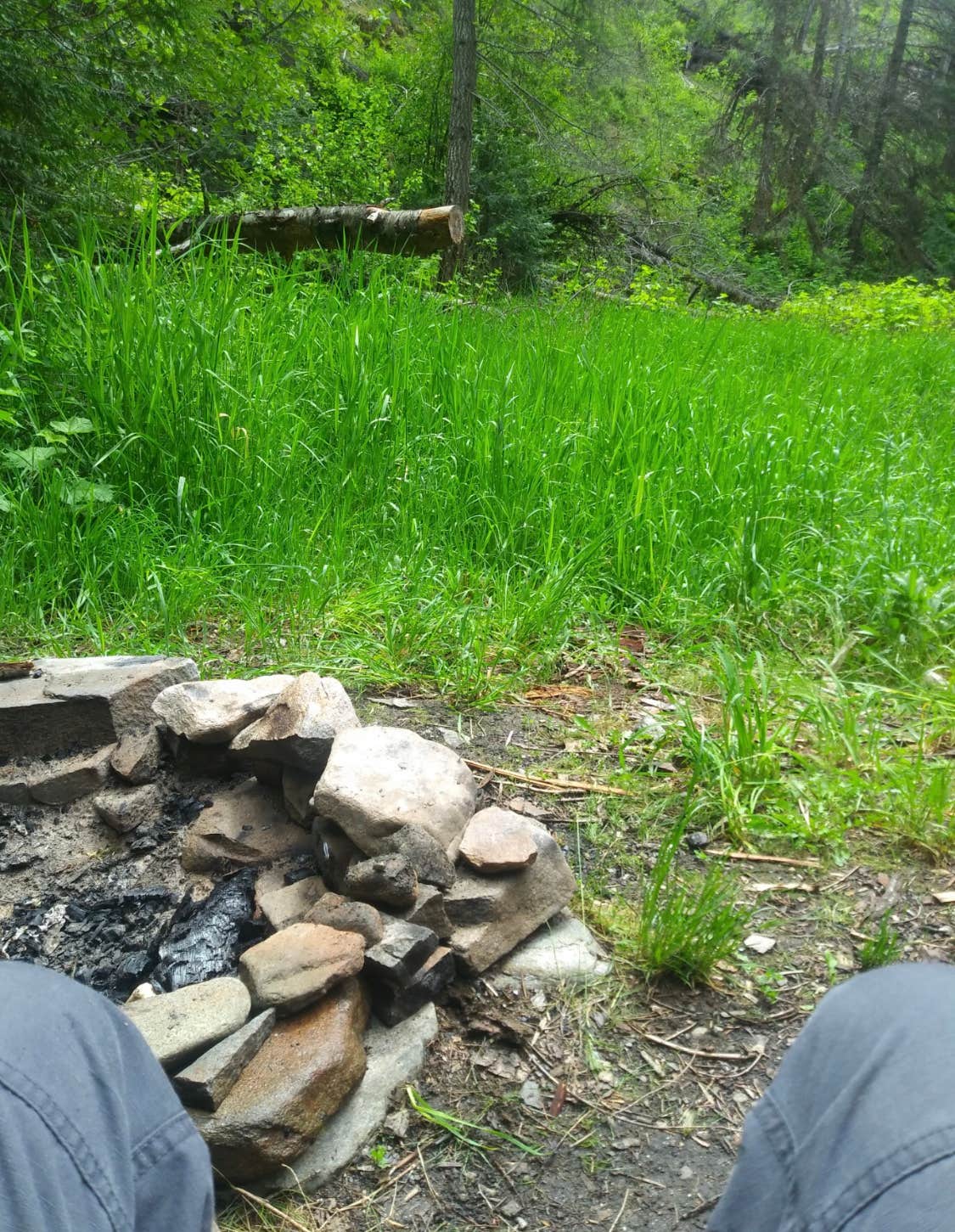 Camper submitted image from Trapper Creek Campground - 1