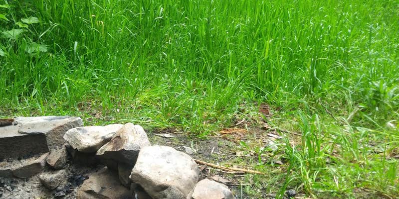 Camper submitted image from Trapper Creek Campground