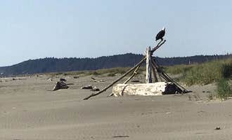 Camping near Pacific Beach State Park Campground: Tidelands Resort Campground, Copalis Crossing, Washington