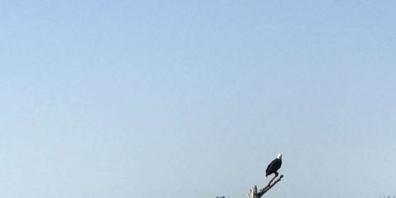 Camper submitted image from Tidelands Resort Campground