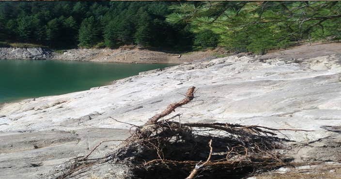 Big Eddy Marina & Lodge — Dworshak State Park