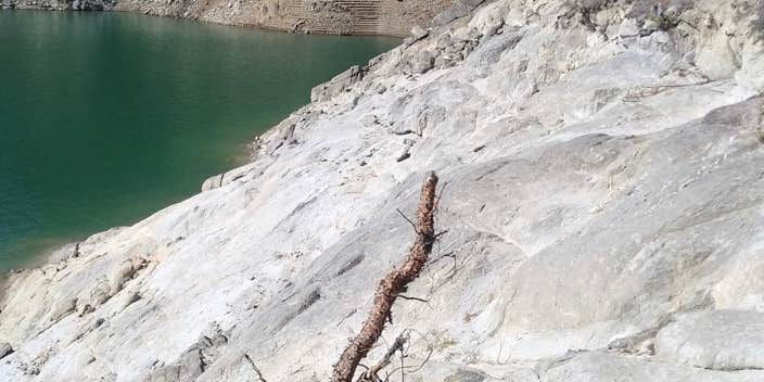 Camper submitted image from Big Eddy Marina & Lodge — Dworshak State Park