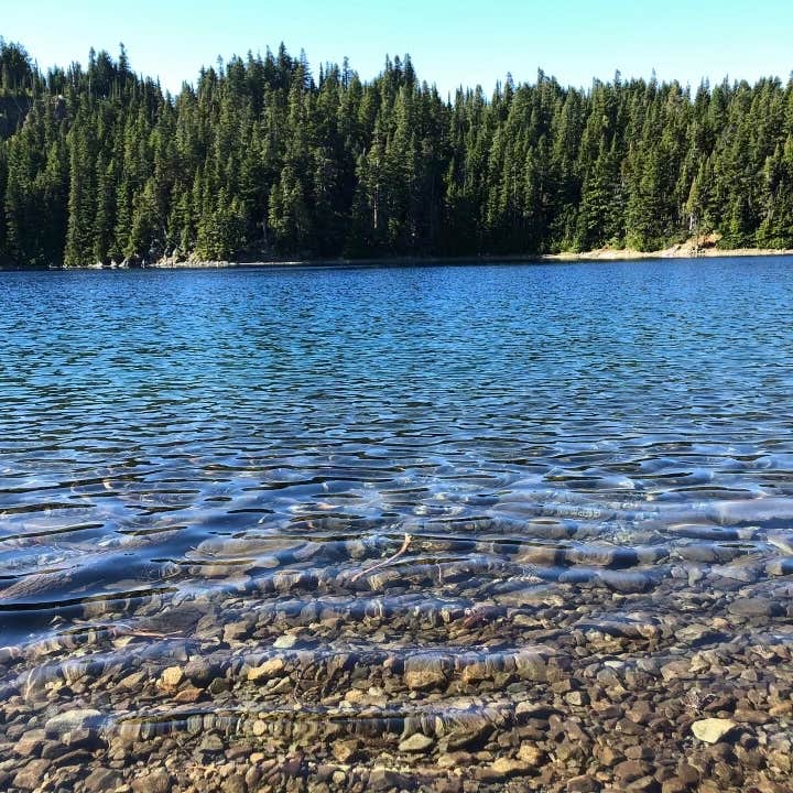 Camper submitted image from Pyramid Creek Backcountry Campsites — Mount Rainier National Park - 2