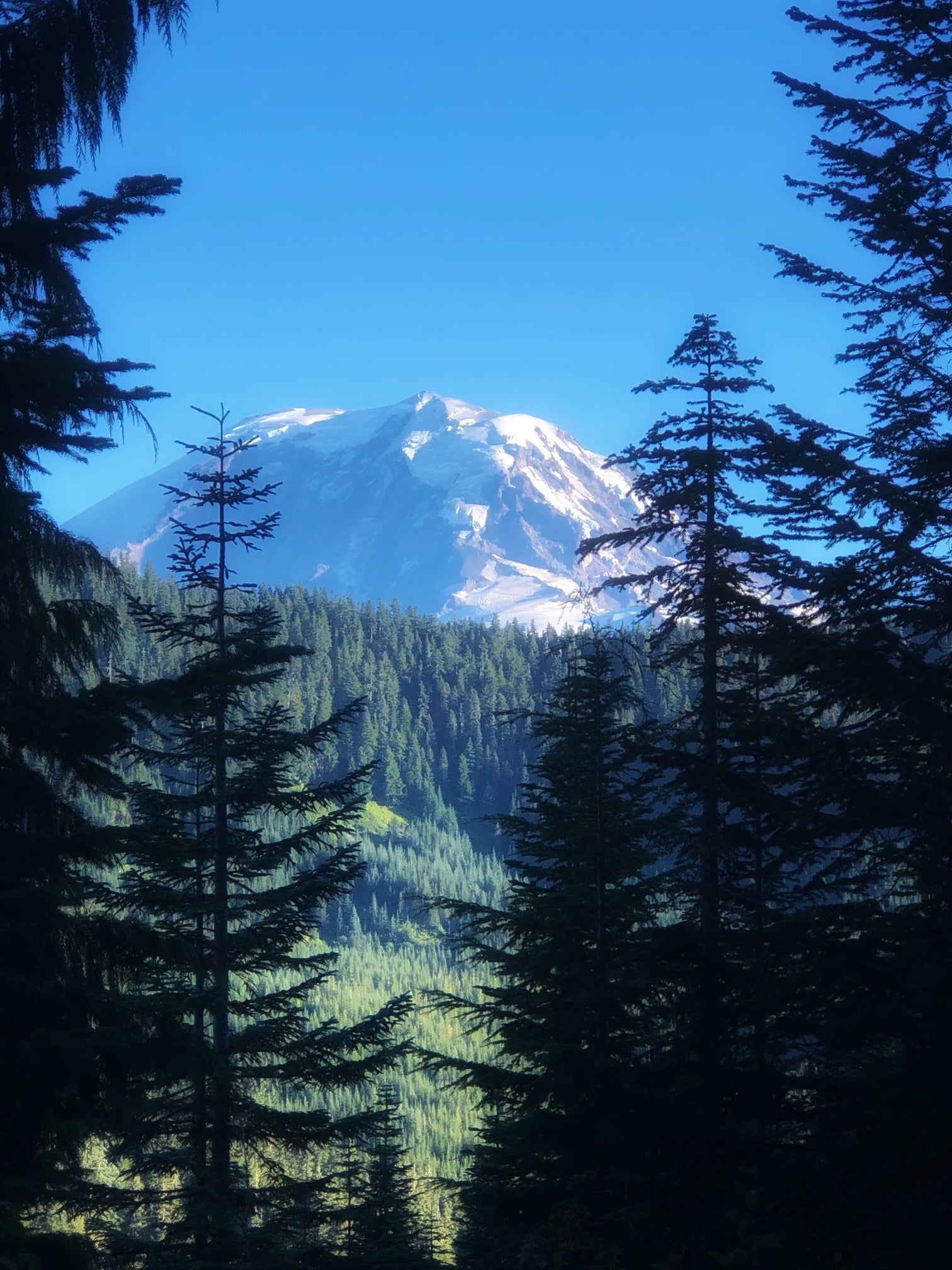 Camper submitted image from Pyramid Creek Backcountry Campsites — Mount Rainier National Park - 1