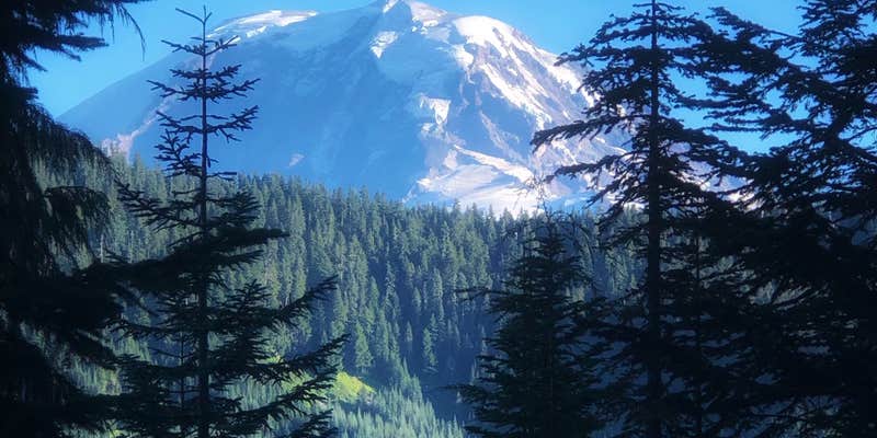 Camper submitted image from Pyramid Creek Backcountry Campsites — Mount Rainier National Park